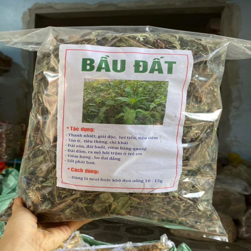 Cây bầu đất phơi khô 1kg
