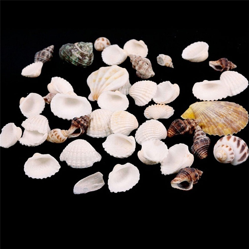 100g%20Beach%20Mixed%20SeaShells%20Mix%20Sea%20Shells%20Shell%20Craft%20SeaShells%20Aquarium%20Decor%20-%20Image%2010