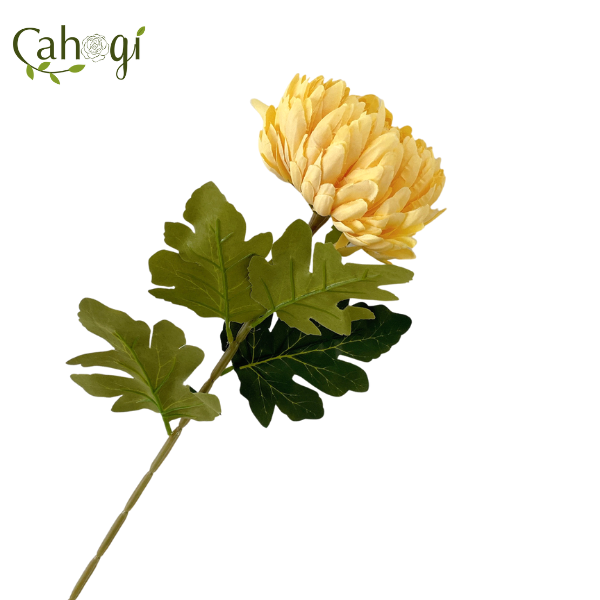 Hoa Giả - Cúc Đại Đóa Bông Lớn 75 Cm