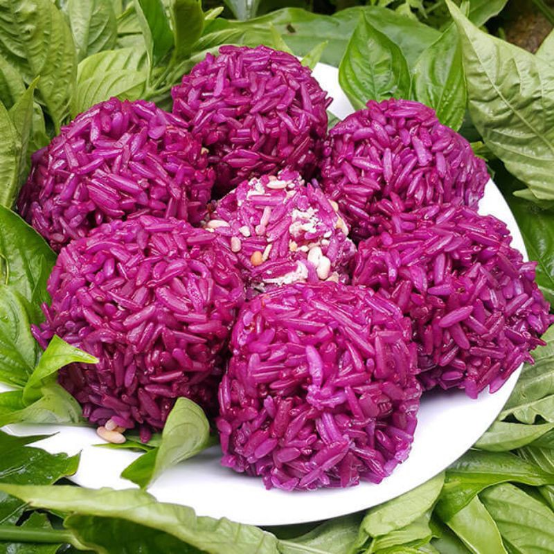 Cây lá cẩm tím giống nhật