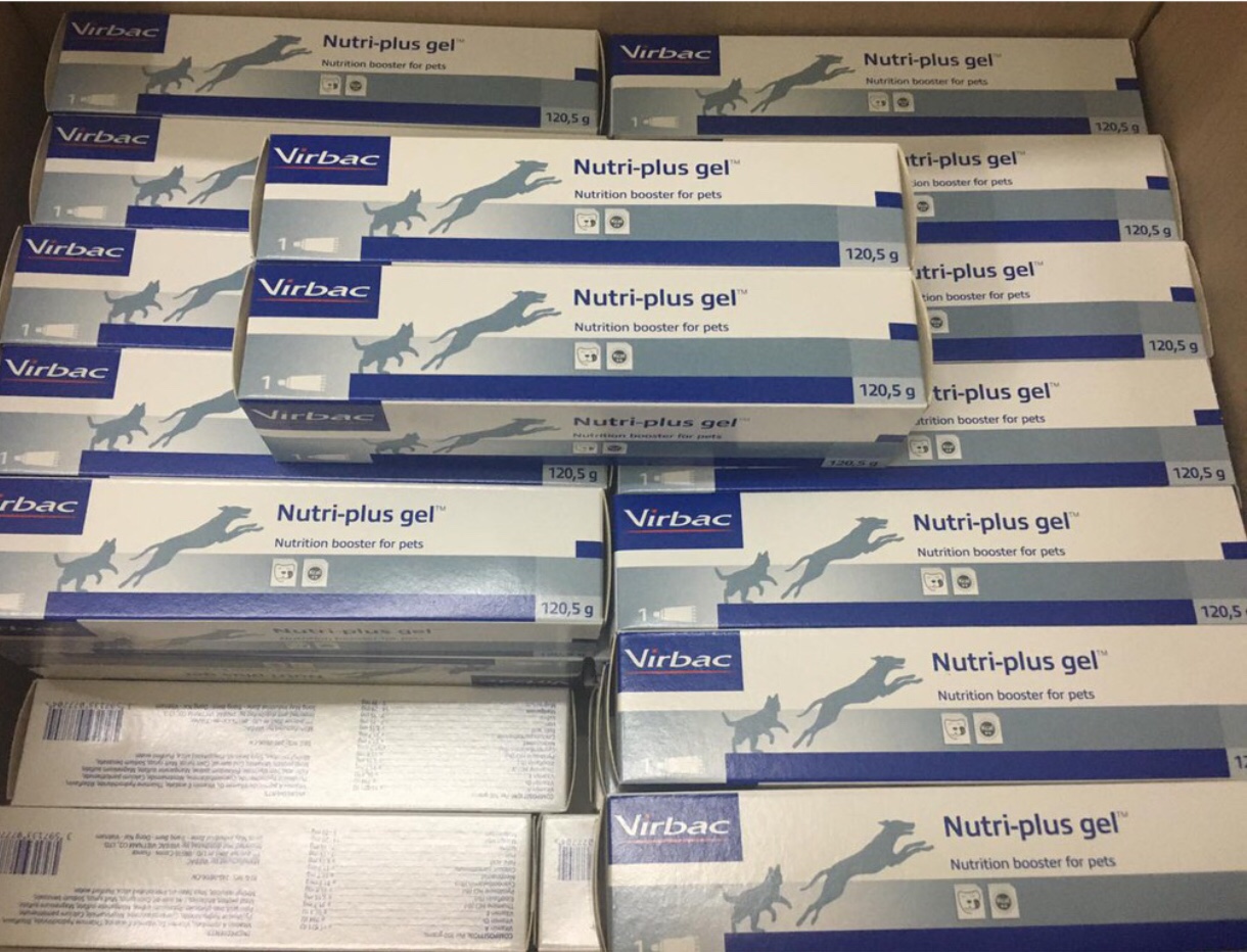 Gel Dinh Dưỡng Virbac Nutri-Plus Cho Chó Mèo