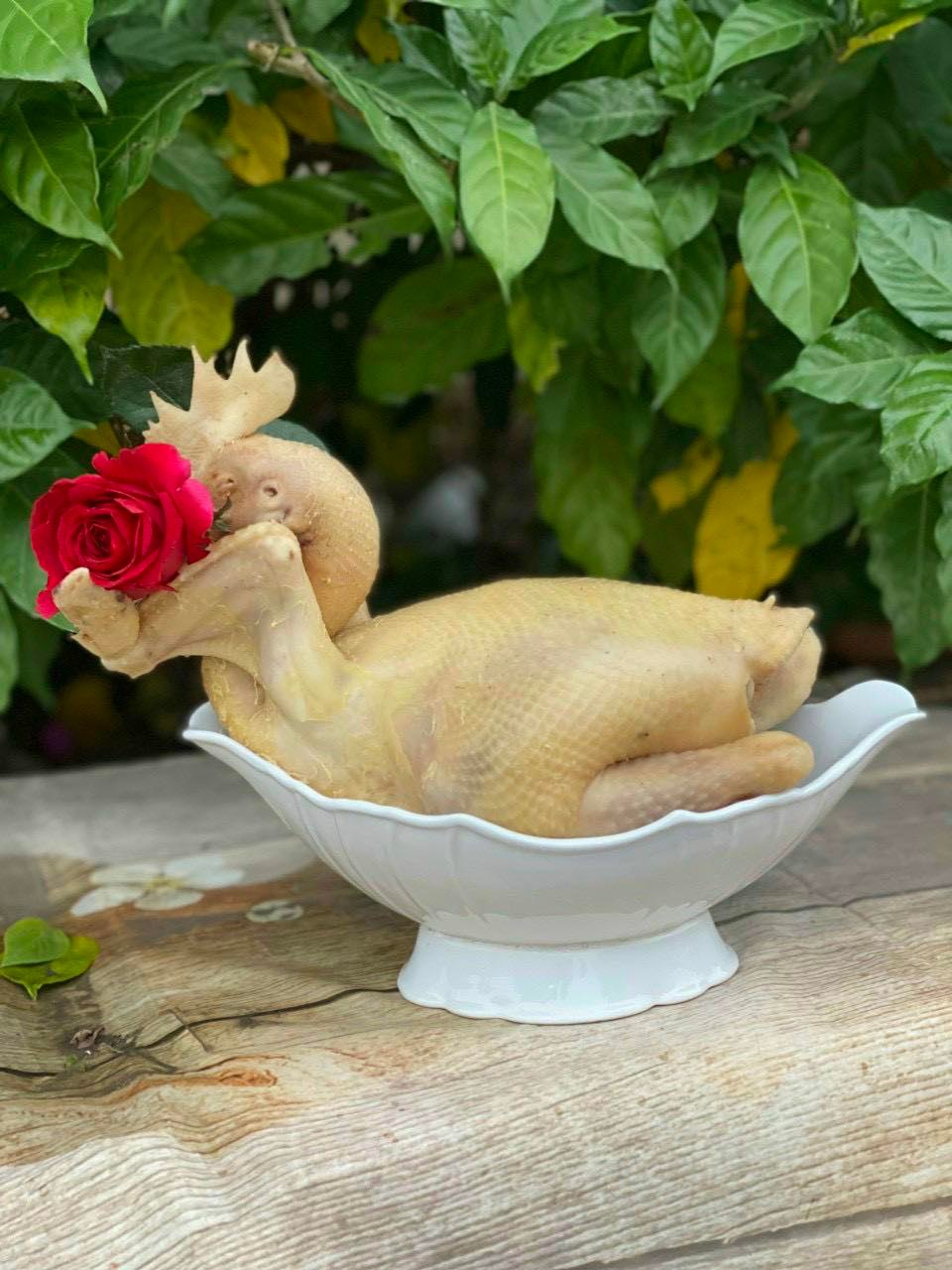 Bát thuyền bát đựng gà cúng gốm sứ bát tràng