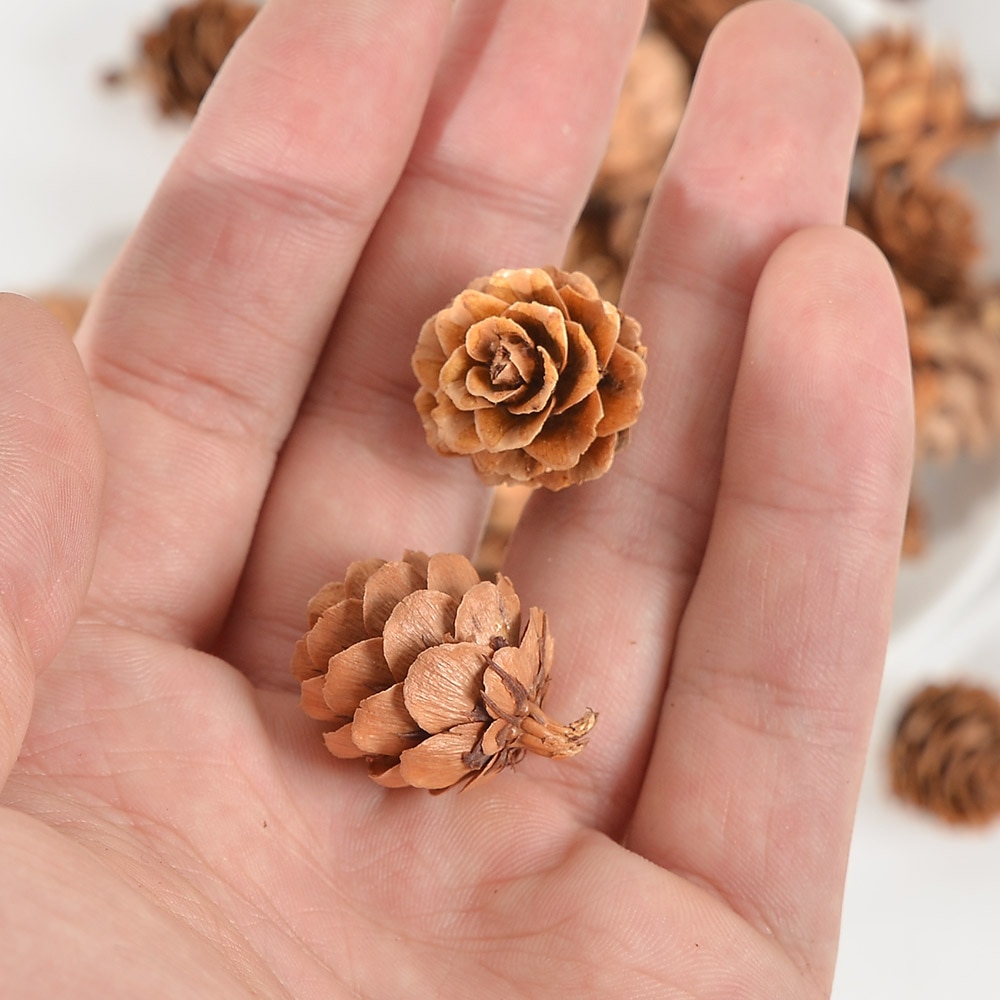 【Worth-Buy】 10/50pcs Natural Mini Pine Nuts Artificial Fruit Vegetable For Diy Home Wedding Decoration Tree Decoration