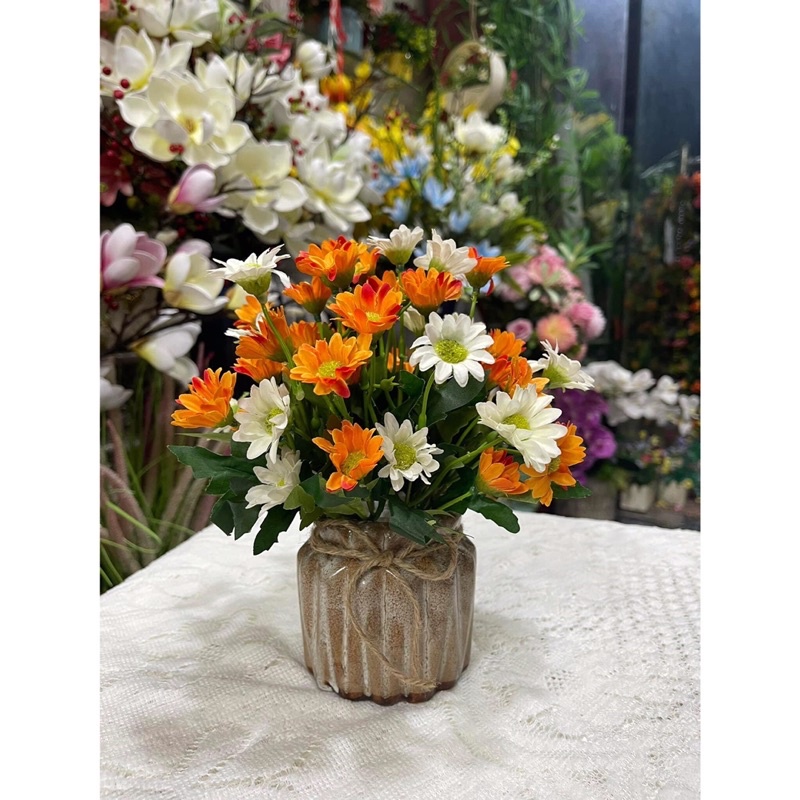 Chậu Cúc mini ( có sẵn chậu)