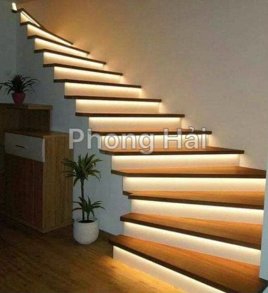 Cuộn dây LED 5m 12V 2835 120led dán tường siêu sáng
