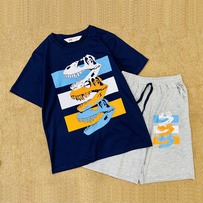 SET ĐỒ BÉ TRAI HM XUẤT DƯ 6-16Y