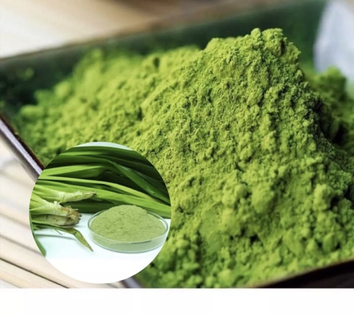 500g Bột Lá Nếp (Lá Dứa) Nguyên Chất Sấy Lạnh 100%