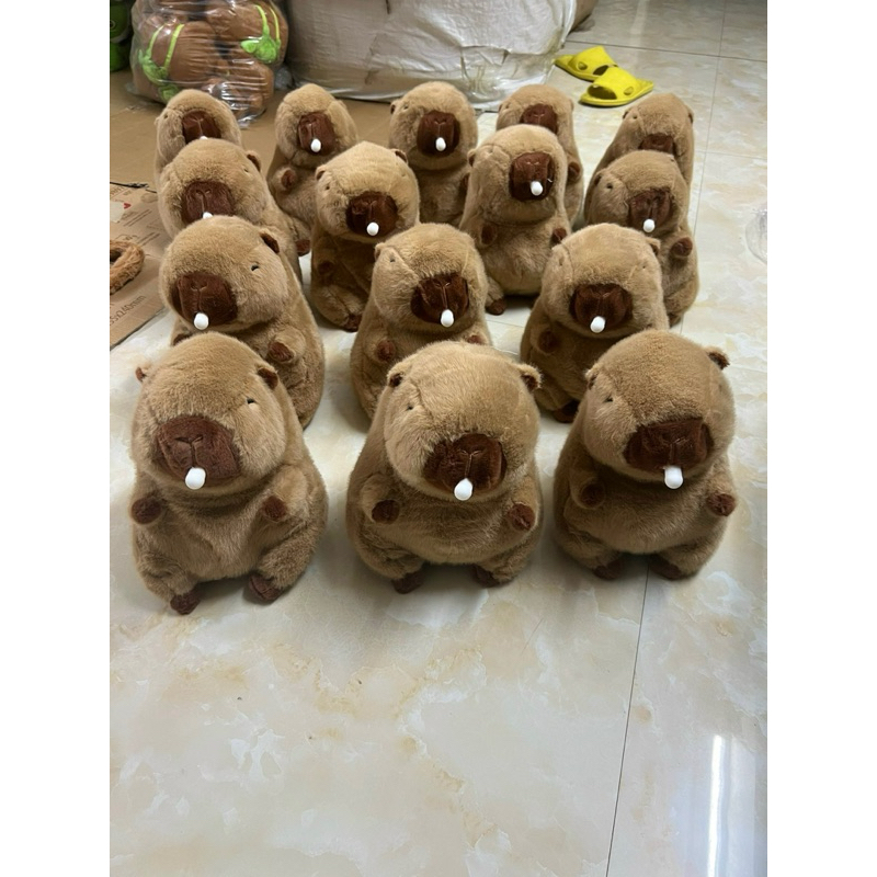 Gấu Bông CAPYBARA Chuột Lang Nước Thổi Bóng 25cm Cute