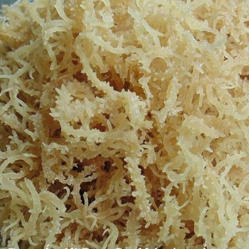 Rong Sụn Trắng Khô 1000 gram ( Rong Biển, Rong Sụn Gai )