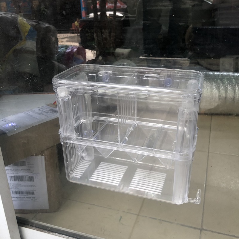Lồng Đẻ 2 Ngăn Dành CHo Cá 7 Màu(Guppy)