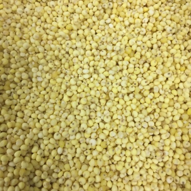 Kê nếp vàng loại 1 thơm dẻo (1kg Hút chân không)