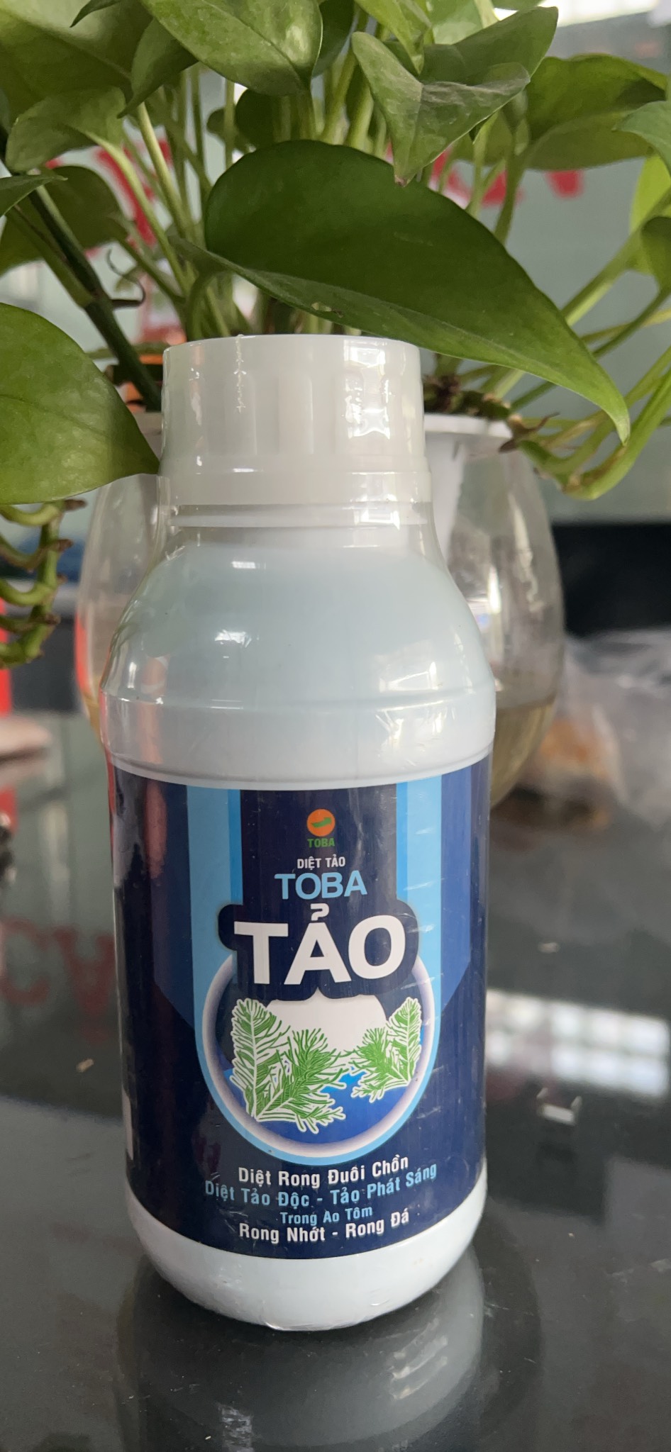 Sản phẩm TOBA diệt tảo Diệt rong đuôi chồn, rong nhớt, rong đá trong ao nuôi Tôm (chai 500ml)