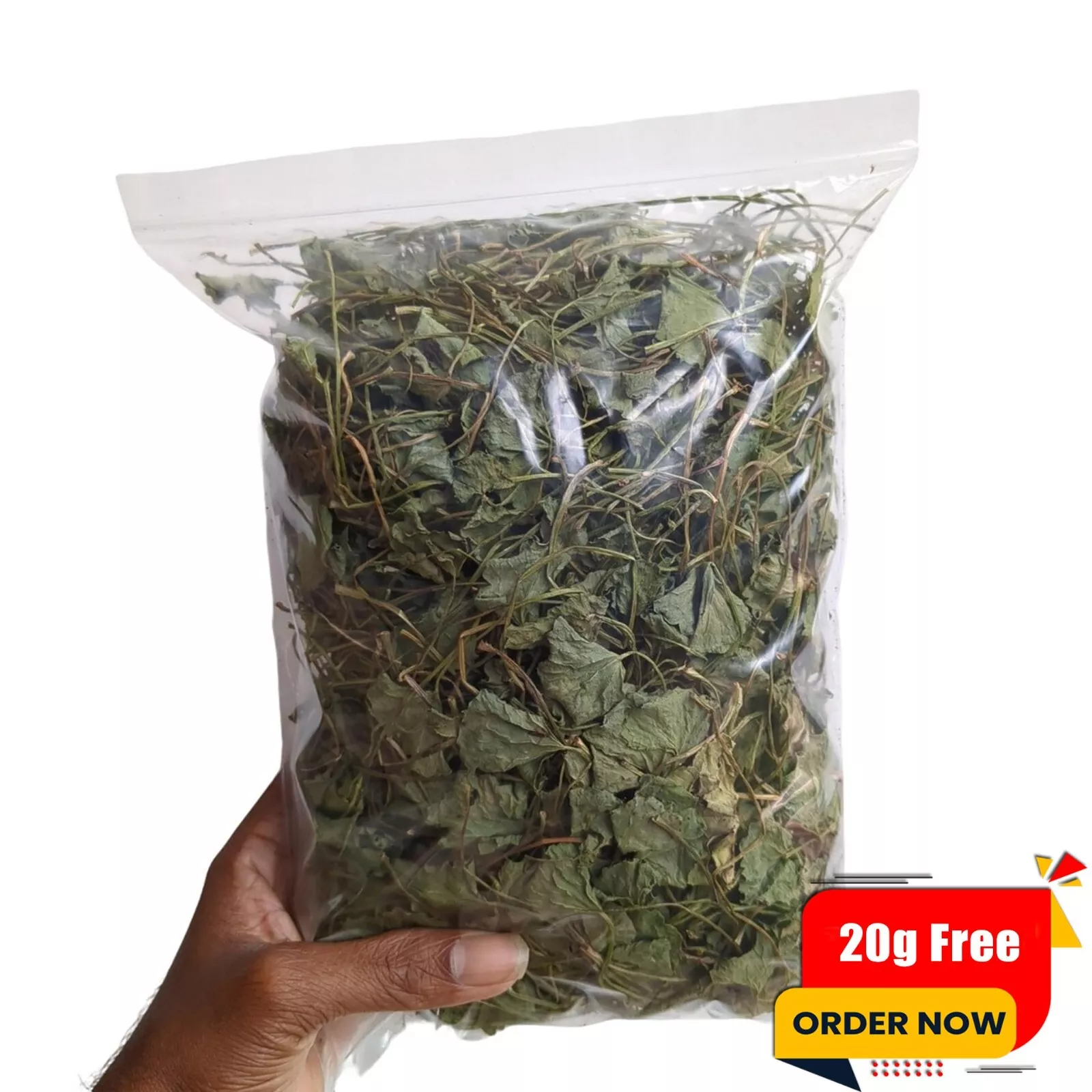 Gotu Kola Herb Tea – Centella Asiatica Herbal Remedy, Loose Leaf, 2 Oz – Tea Haven