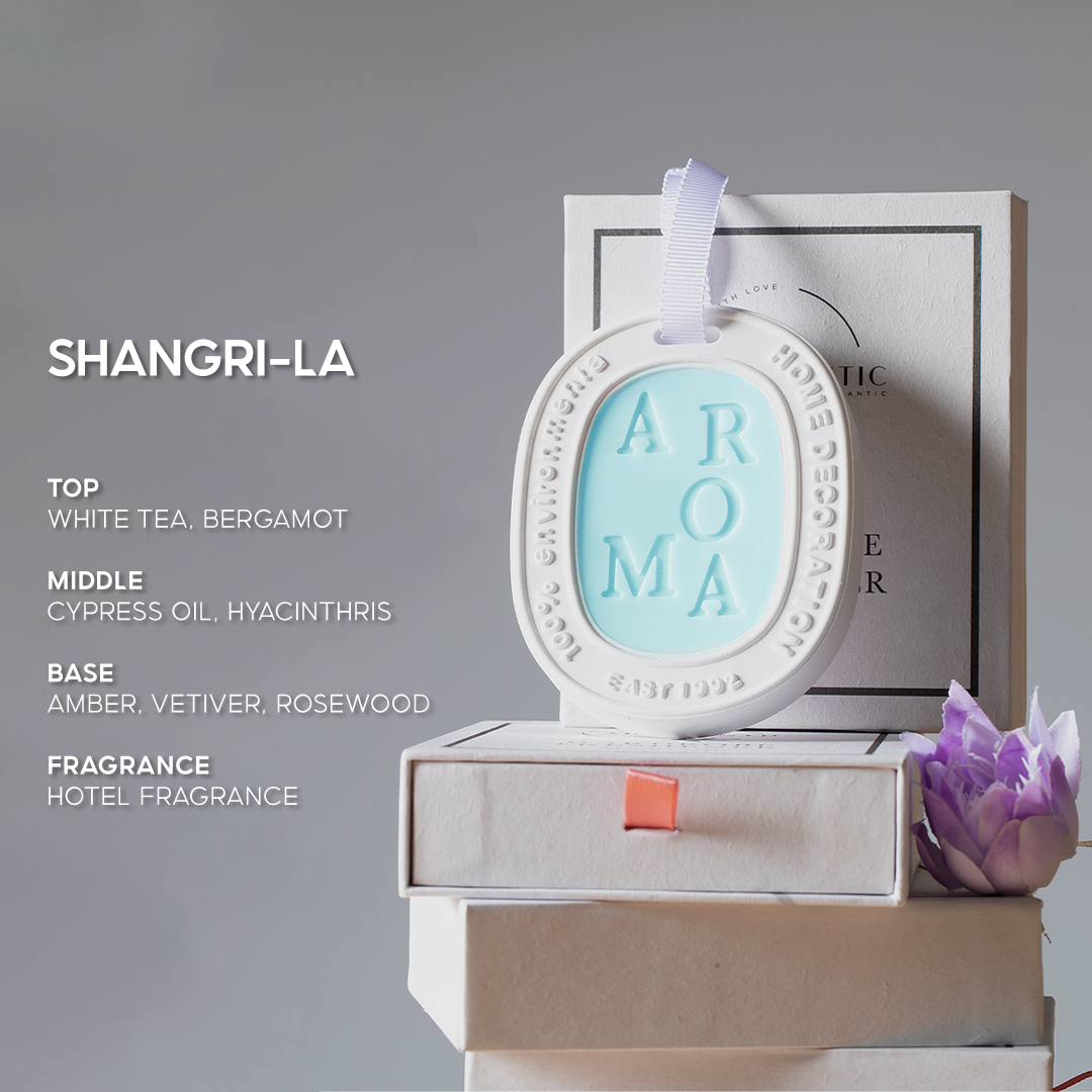 Aromantic Wardrobe Freshener Shoe Deodorizer Gift Box 116g