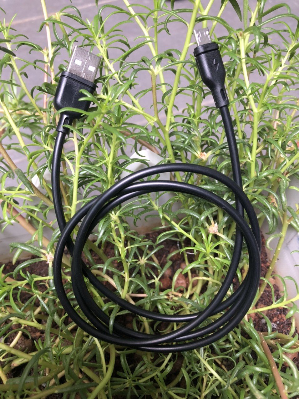 Cáp Sam - Sung Micro 1m zin, hổ trợ sạc nhanh (đen)