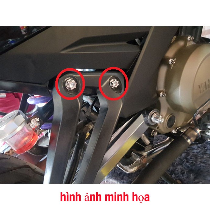 Ốc Salaya 8li25 Gắn Pat Heo Dầu Trước Honda Suzuki, Gác Chân Sau Raider Satria Sonic Exciter Winner, Chảng Ba MSX, Cảng Sau Yaz MS4923