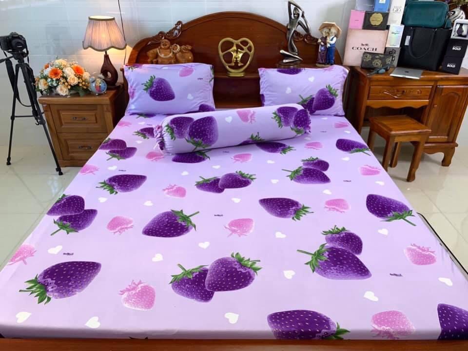 Bộ drap ga thun lạnh Hàn quốc [mẫu dâu tây] 4 món chất đẹp