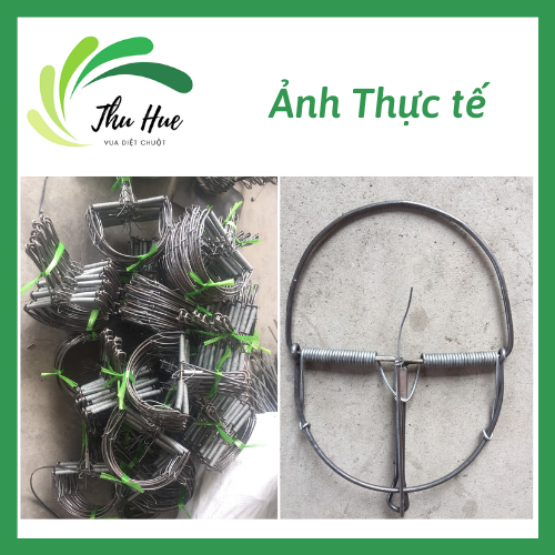 combo 5 chiếc bẫy chuột bán nguyễn cỡ vừa