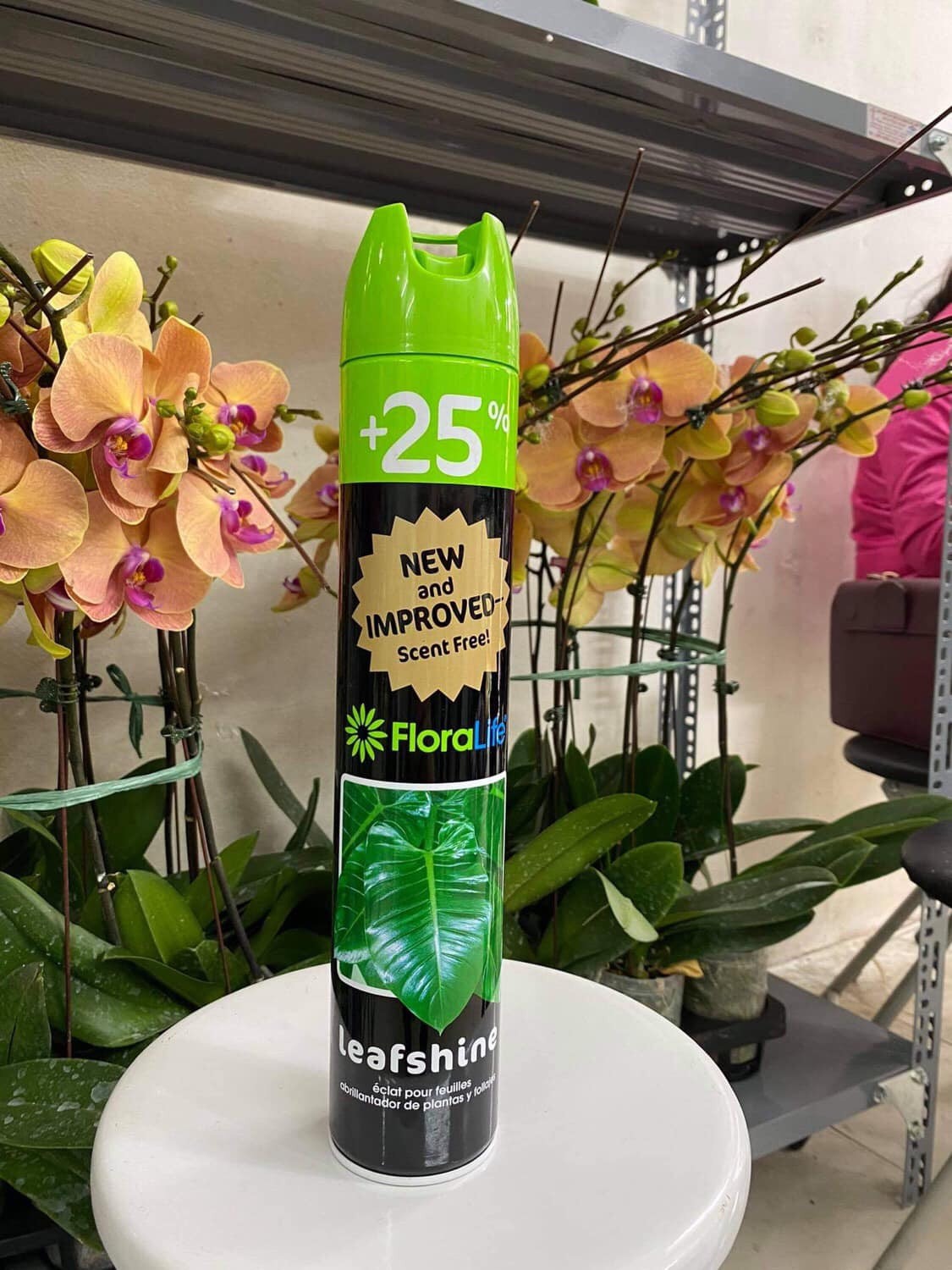 [HCM]Leaf shine- xịt bóng lá 750 ml