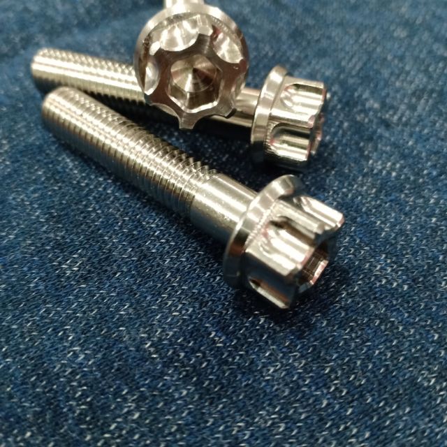 Ốc salaya 6ly2 - Inox (Giá 1 con).