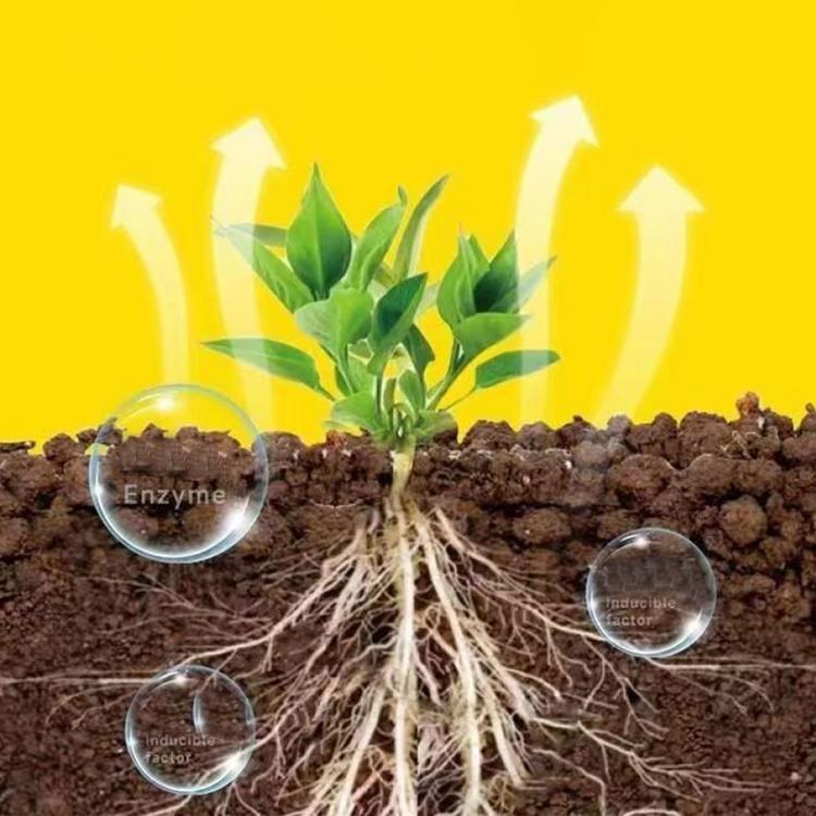 Root Enhancer for Plants Fertilizer Solution for Plant Growth Liquid Root Stimulator Root Booster for Plant Flower Transplanting Root Growth Enhancer 1.7 Fl Oz everywhere