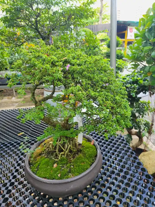 Secret Garden Inspired Summer Wedding Ideas