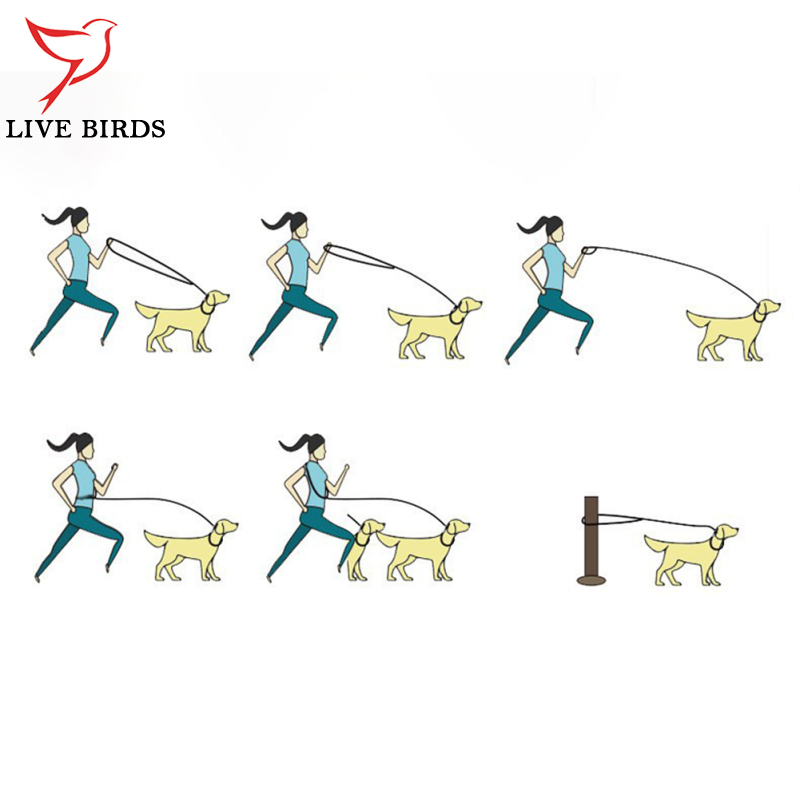 Multifunctional Nylon Double Leash For Dogs Reflective Strip Design Dog Training Leash For Medium Large Dogs