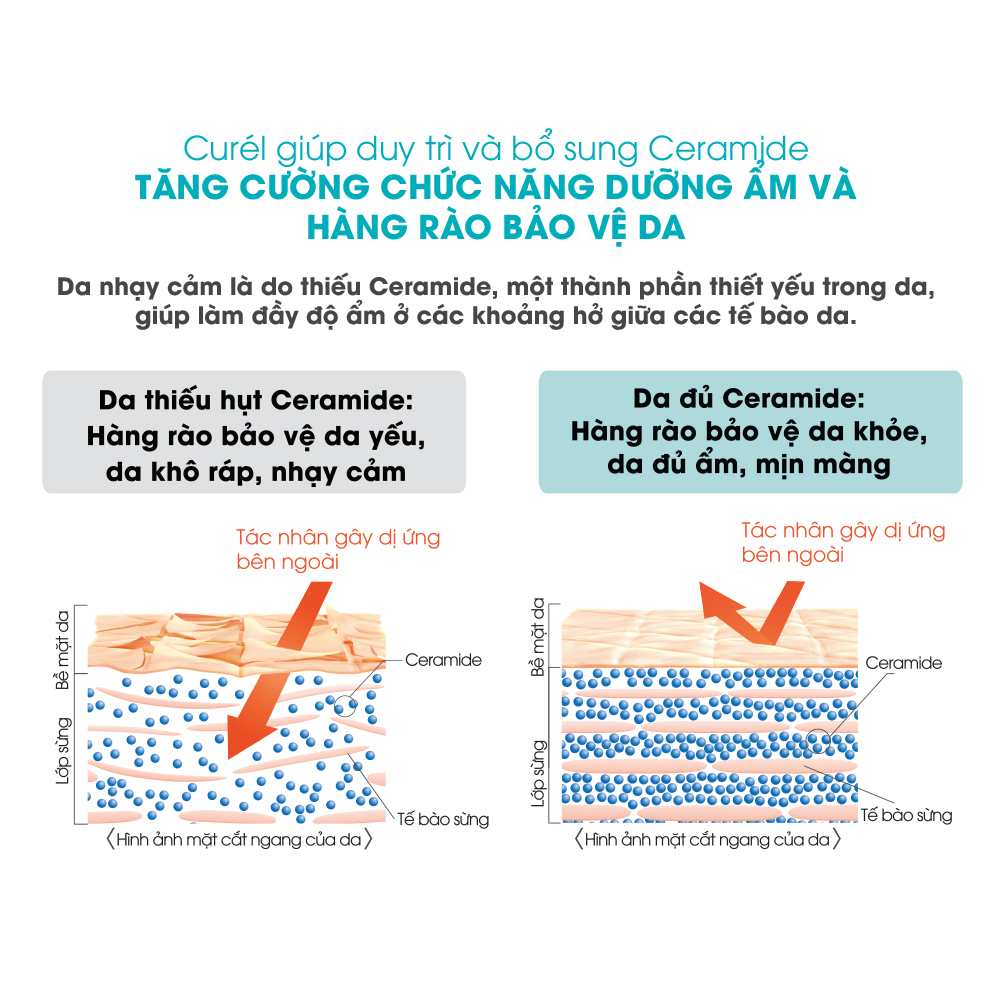 Combo gội xả cấp ẩm chuyên sâu Curél (Gội 420ml + Xả 420ml)