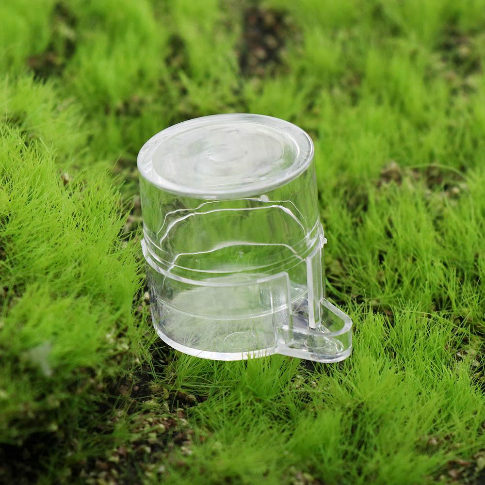 Curated visual reference: Portable Mini Acrylic Durable Round For Cricket Ant Nest House Photo Inspiration