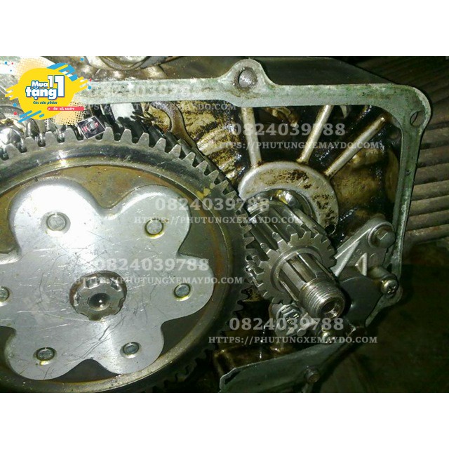 Nhông Hú Cd 20T