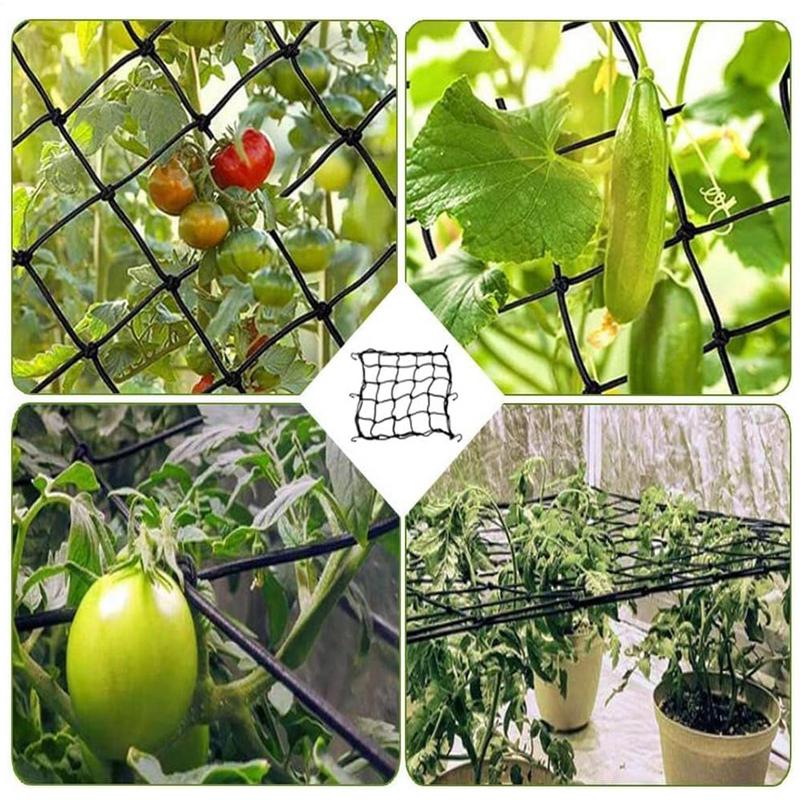 Grid Netting Garden Trellis Netting Garden Netting For Climbing Plants Elastic Wire ...