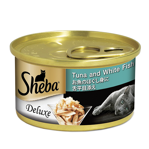 sheba cat food for kittens