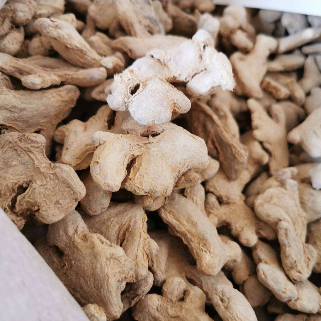 Gừng khô ( Can Khương ) 100 gram. Khang Chính Đường .