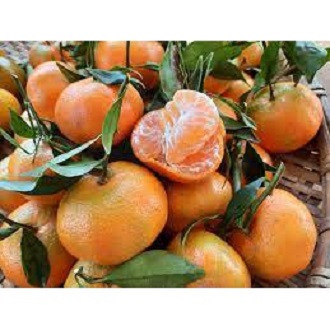 (HN) Quýt Thái Mọng Nước thơm ngon ngọt Giao Siêu Tốc 1h