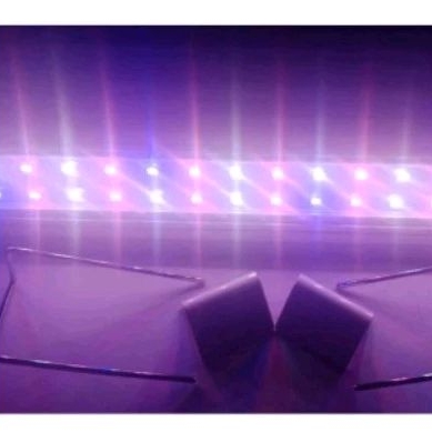 Lampu aquarium aquascape SAKKAI PRO P 100 LED