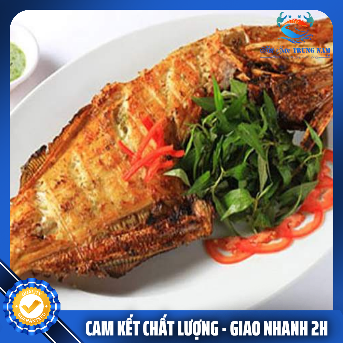 Cá Bò Da Nguyên Con (Size 800g - 1kg/Con)