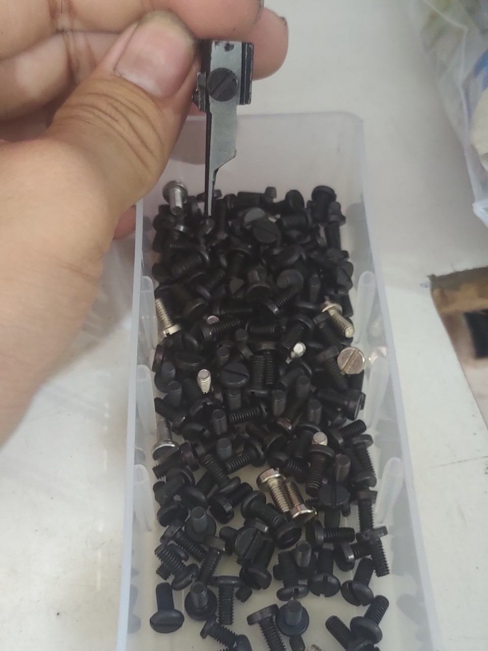 ốc bát dao trên vắt sổ