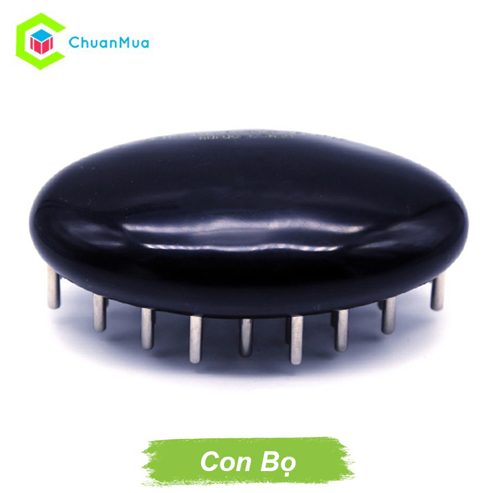 Bàn Chải Tiên Và Đồng Láng Lớn - Dụng Cụ Diện Chẩn ( Phụ Kiện VinaMassage Điện Chấn Nhấn Huyệt Ma Lược Chuẩn Chân ) | ChuanMua GDA170