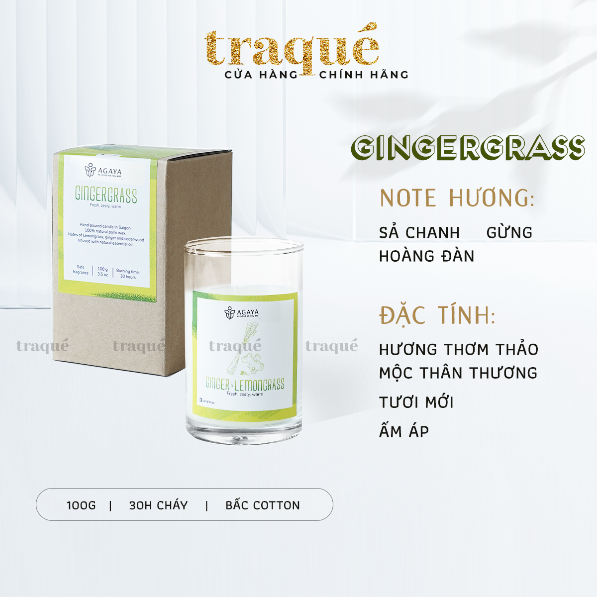Nến thơm Agaya/Candle Cup - Hương Thảo Mộc GINGERGRASS