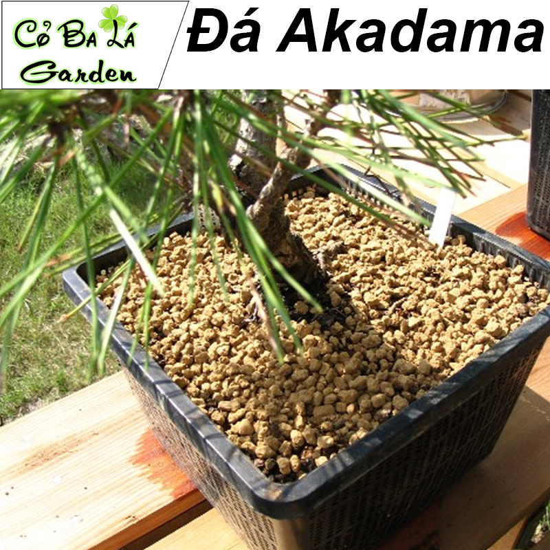 Đá Akadama Nhật Bản (500gr - size 1-3mn)