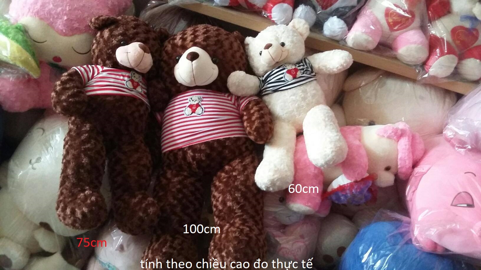 Gấu bông teddy size 1m85-1m9