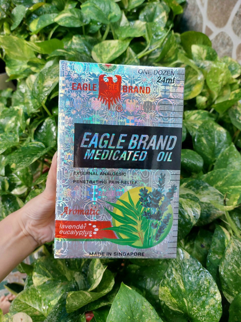 DẦU GIÓ TRẮNG EAGLE BRAND AROMATIC LAVENDER EUCALYPTUS - HỘP LỚN 24ML