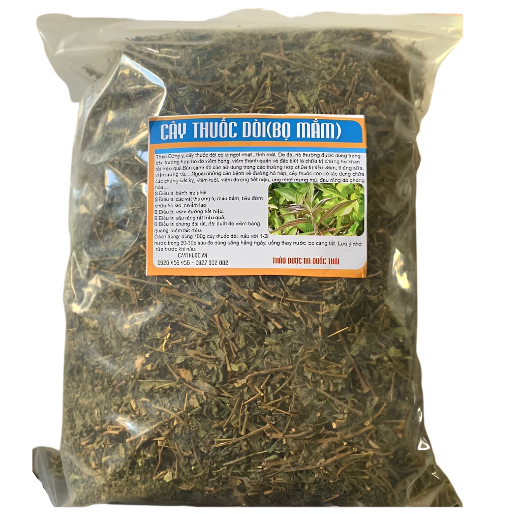 Cây bọ dòi 1kg nấu nước mát sạch, thơm thenewlife0909