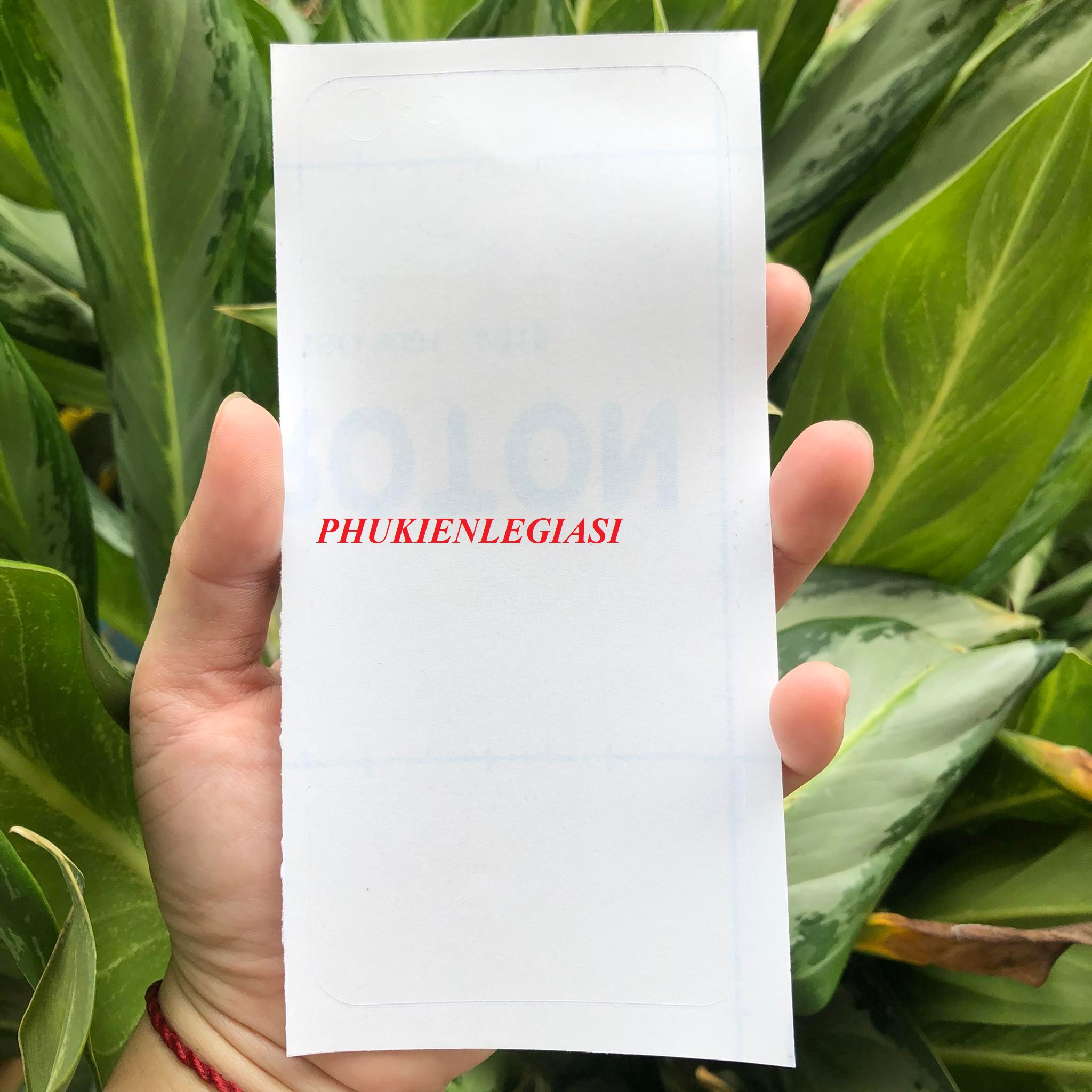 XÃ HÀNG THANH LÝ Miếng dán carbon, dán nhám sau iphone(các dòng)