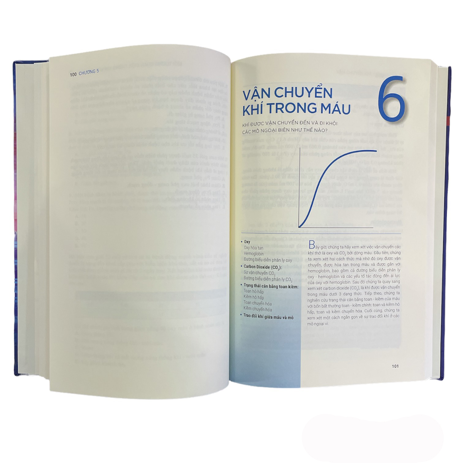 ARTBOOK - Sách Y - SINH LÝ HỌC HÔ HẤP
