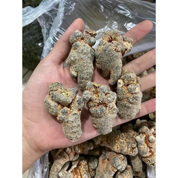 [CHÍNH HÃNG] Củ Tam Thất Bắc Khô ( Size Củ 50 /1kg To Lạc Khô Chuẩn )