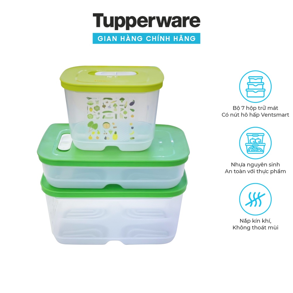 Set 3 hộp trữ mát Vensmart
