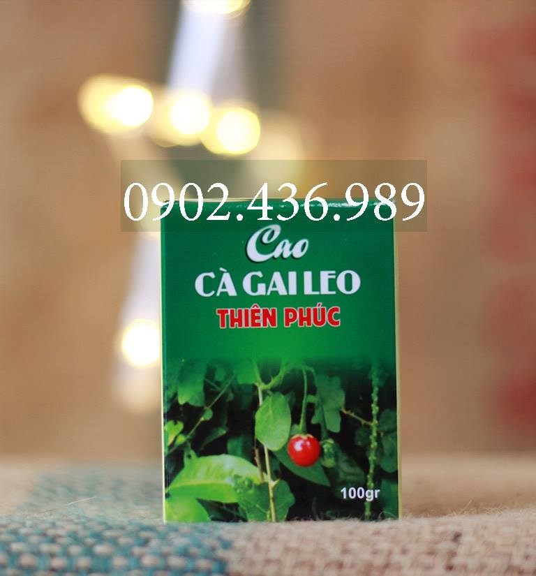 TRÀ CÀ GAI LEO