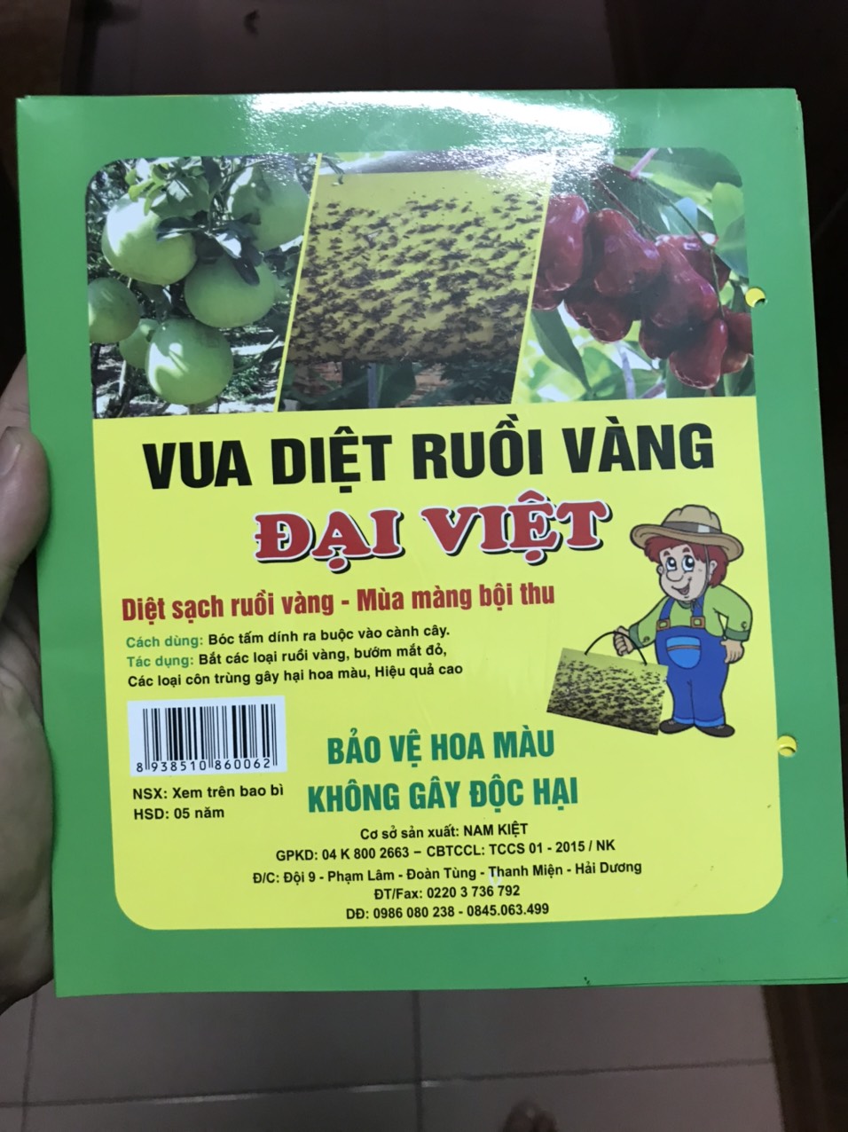 Combo 10 miếng dán bẫy ruồi vàng, bướm, phấn trắng, côn trùng siêu dính
