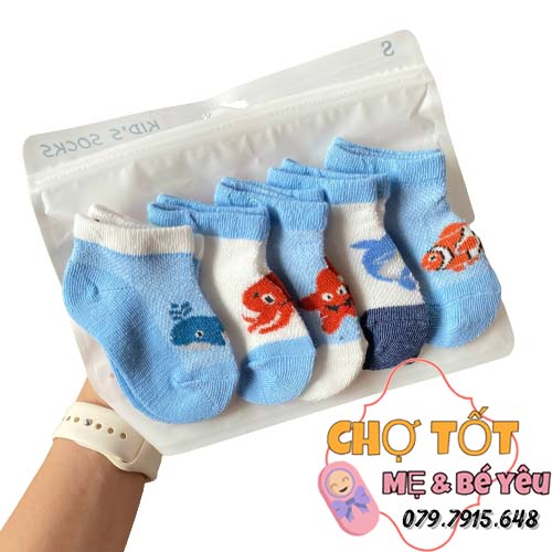 [HCM]SET 5 VỚ CHÂN CHO BÉ 4-12KG (BÉ TRAI)